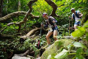 BIB: 
                            <button type="button" onclick="openModal(19407629)" class="btn btn-primary btn-sm float-right btn-popup" data-toggle="modal" data-target=".modal-high-quality">
                        <i class="fas fa-shopping-cart"></i> Add to Cart
                    </button>
                                            <button type="button" onclick="isThisMe(19407629, true)" class="btn btn-success btn-sm float-right btn-popup btn-isme hidden" data-toggle="tooltip" data-placement="bottom" title="นี่คือรูปของคุณใช่ไหม คลิกที่นี่เพื่อเอาเข้าอัลบั้ม">
                        <i class="fas fa-plus"></i> Add to album
                    </button>
                    <button type="button" onclick="isThisMe(19407629, false)" class="btn btn-warning btn-sm float-right btn-popup btn-isnotme hidden">
                        <i class="fas fa-ban"></i> Remove from album
                    </button>